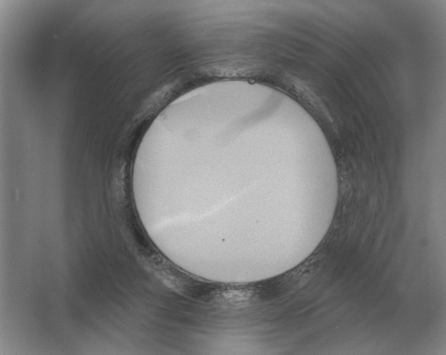 X0000063450163200602171908