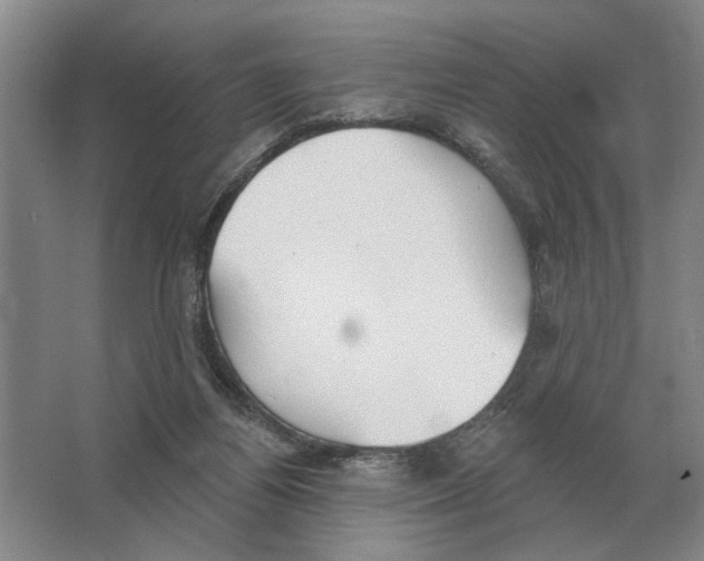 X0000063450164200602171908