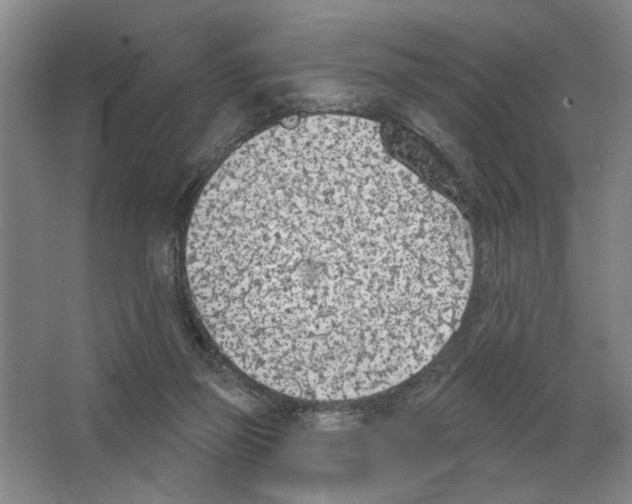 X0000063450165200602171908