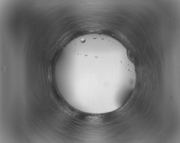 X0000063450170200602171908