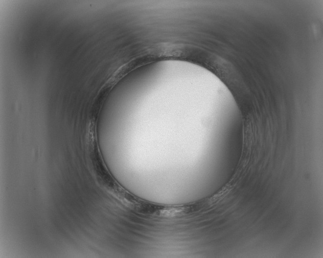 X0000063450172200602171908