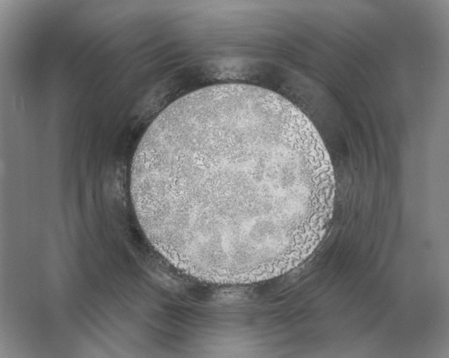 X0000063450175200602171908