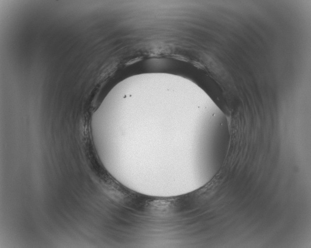 X0000063450176200602171908