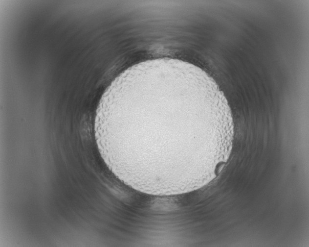 X0000063450179200602171908