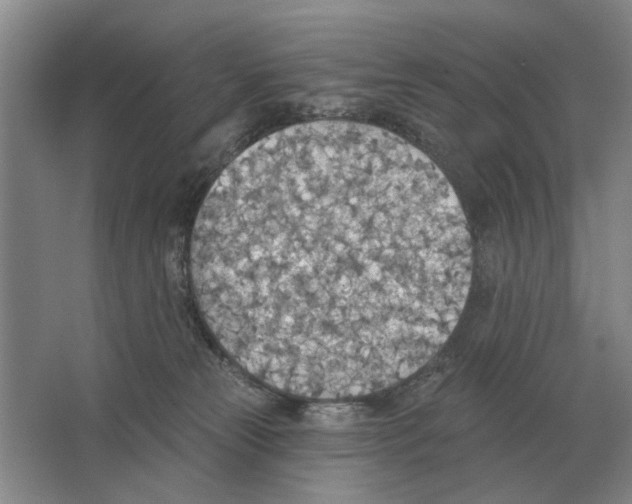 X0000063450181200602171908