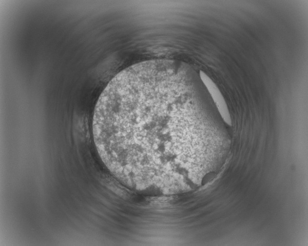 X0000063450182200602171908