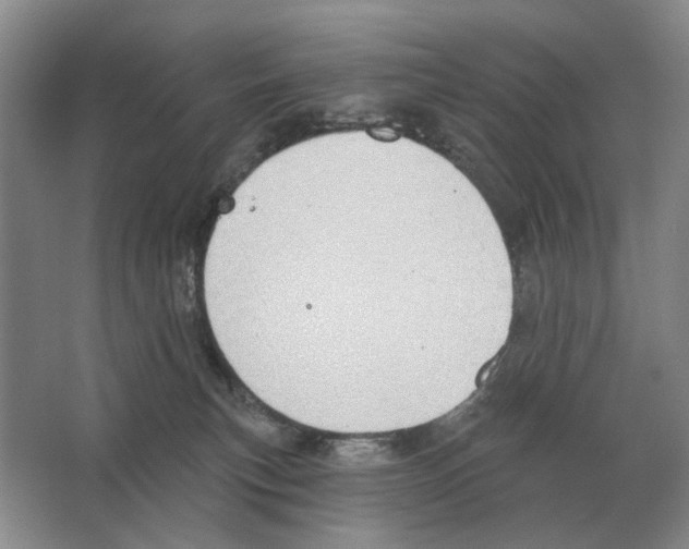 X0000063450183200602171908