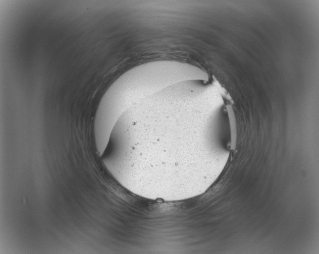 X0000063450184200602171908