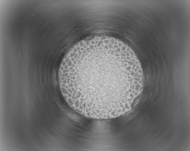 X0000063450187200602171908