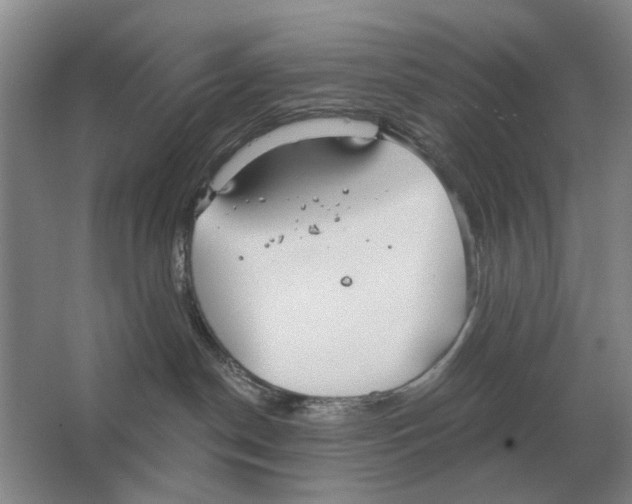 X0000063450190200602171908