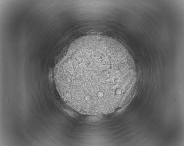 X0000063450191200602171908