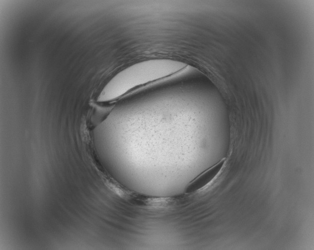 X0000063450192200602171908