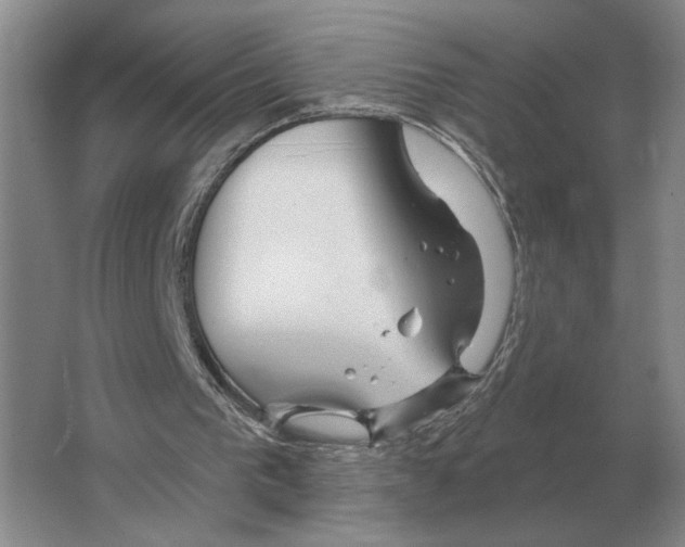 X0000063450193200602171907