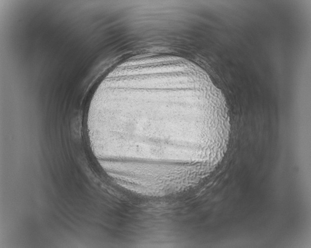 X0000063450194200602171907