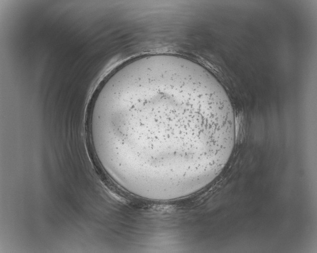 X0000063450195200602171907