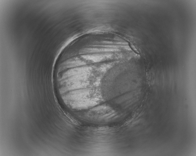 X0000063450196200602171907