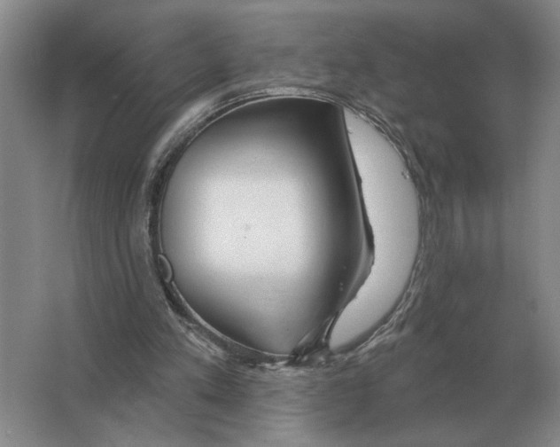 X0000063450197200602171907