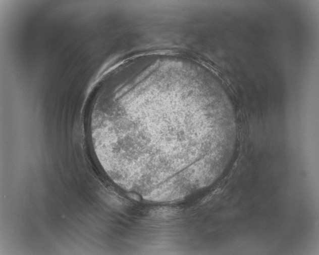 X0000063450198200602171907