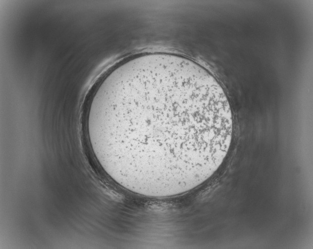 X0000063450199200602171907