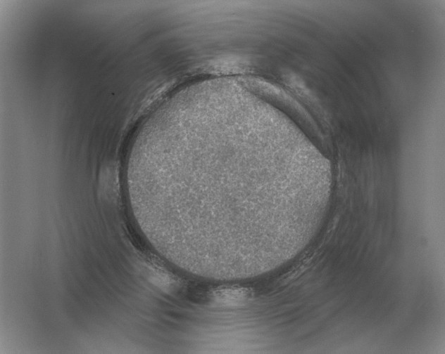 X0000063450202200602171907