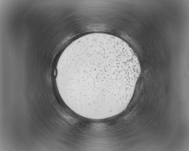 X0000063450203200602171907