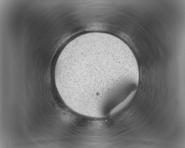 X0000063450204200602171907