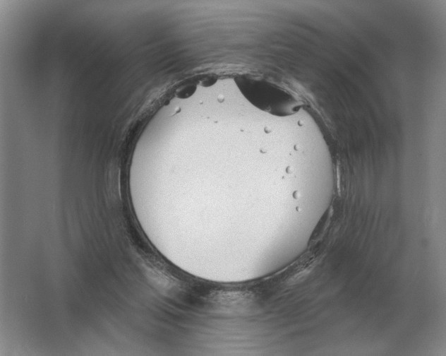 X0000063450205200602171907