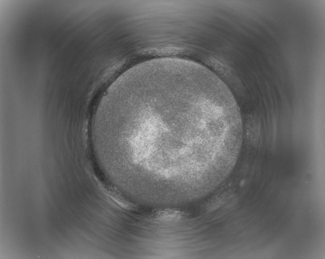 X0000063450206200602171907