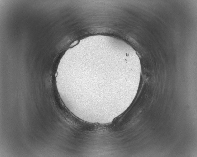 X0000063450207200602171907