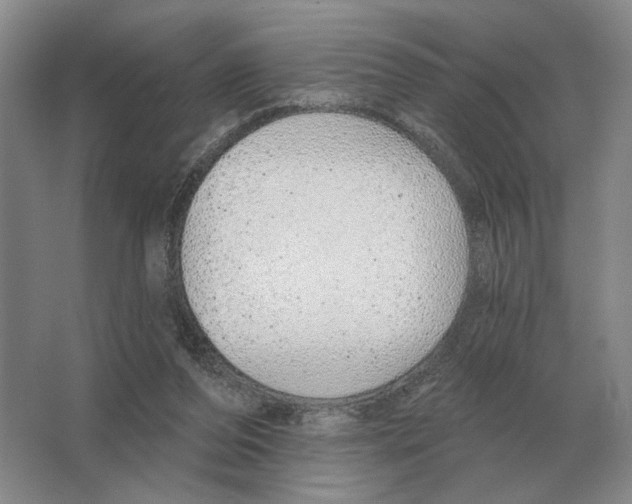 X0000063450208200602171907