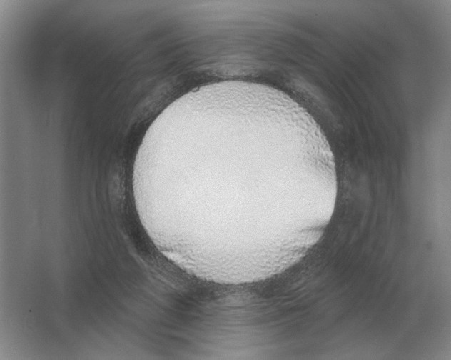 X0000063450210200602171907