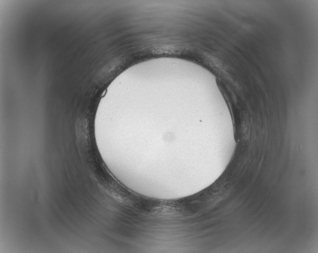 X0000063450211200602171907