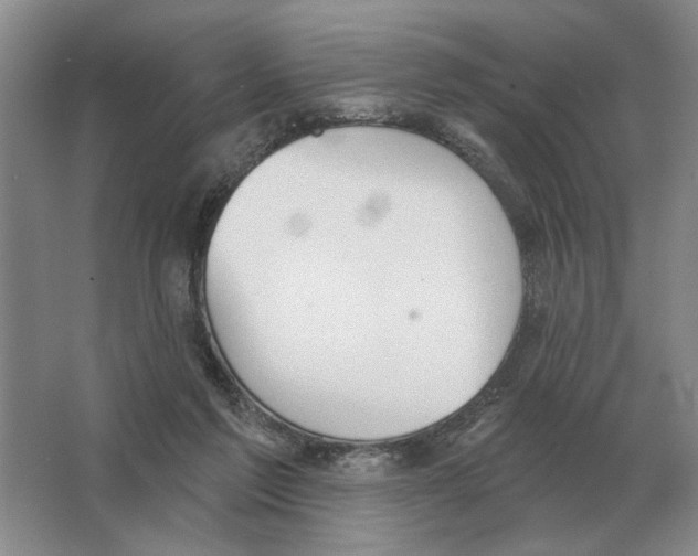 X0000063450213200602171907