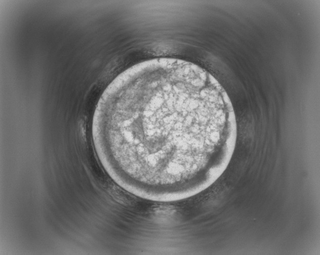 X0000063450214200602171907