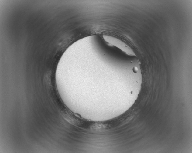 X0000063450217200602171907