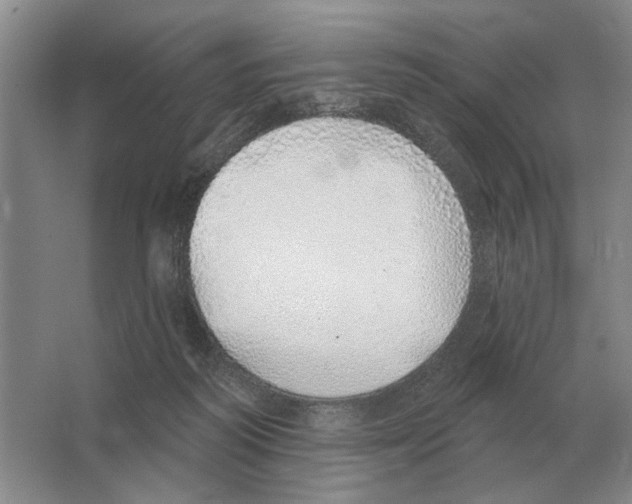 X0000063450218200602171907