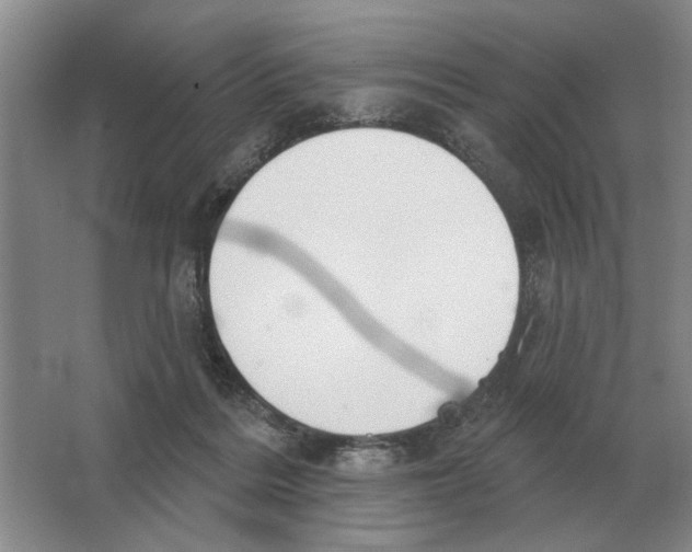 X0000063450220200602171907