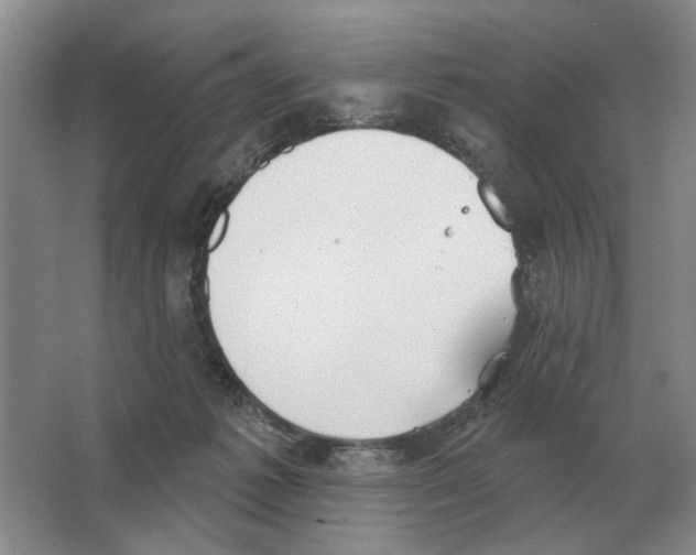 X0000063450221200602171907