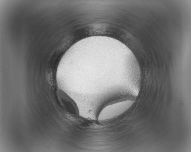 X0000063450224200602171907