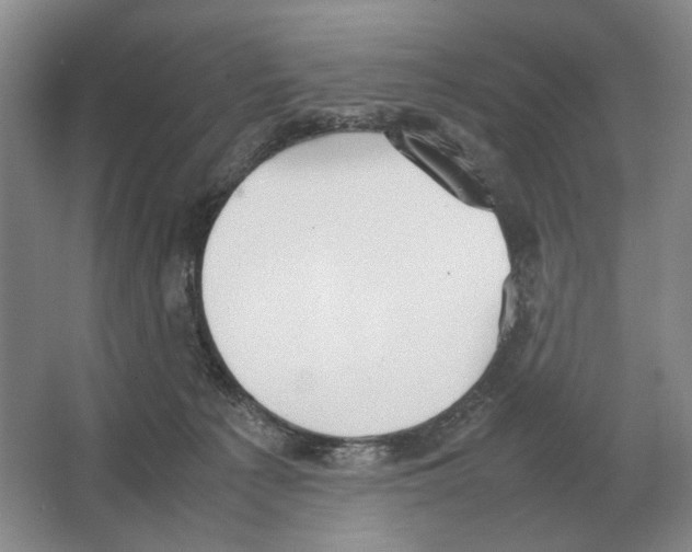 X0000063450225200602171907