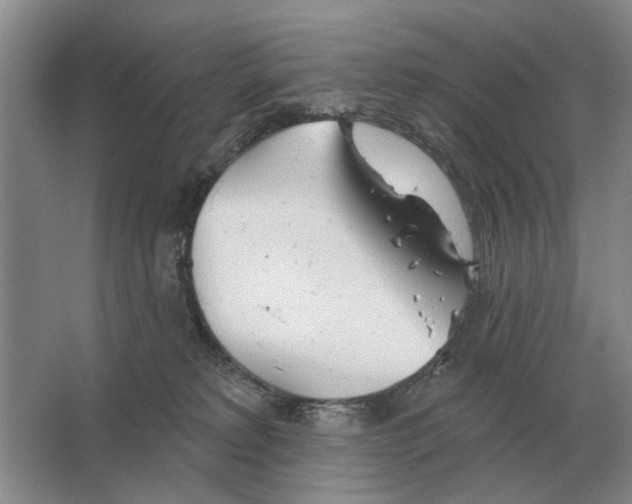 X0000063450229200602171907