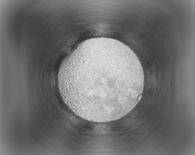 X0000063450230200602171907