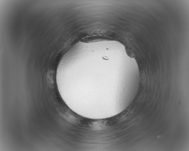 X0000063450232200602171907