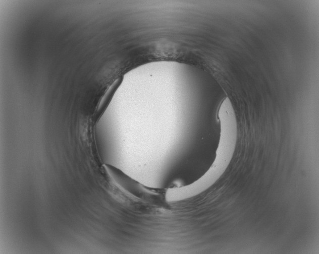 X0000063450233200602171907