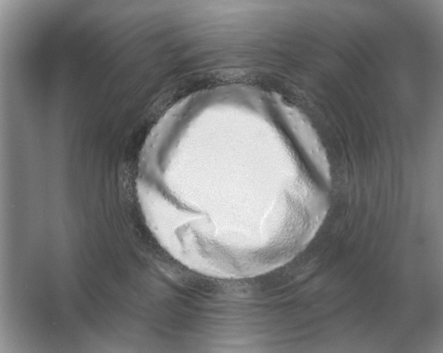 X0000063450234200602171907