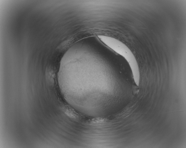 X0000063450235200602171907