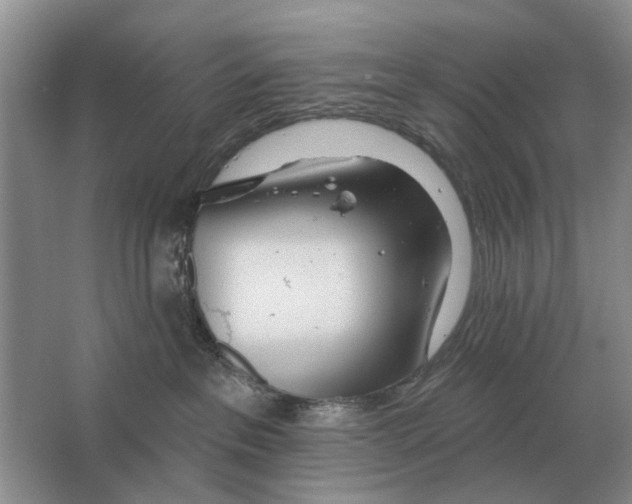 X0000063450237200602171907