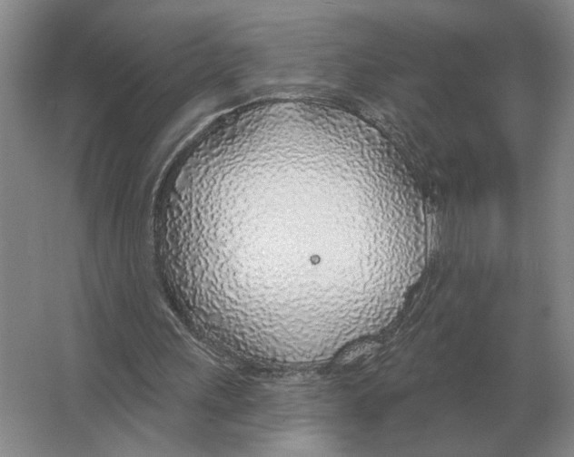 X0000063450243200602171906