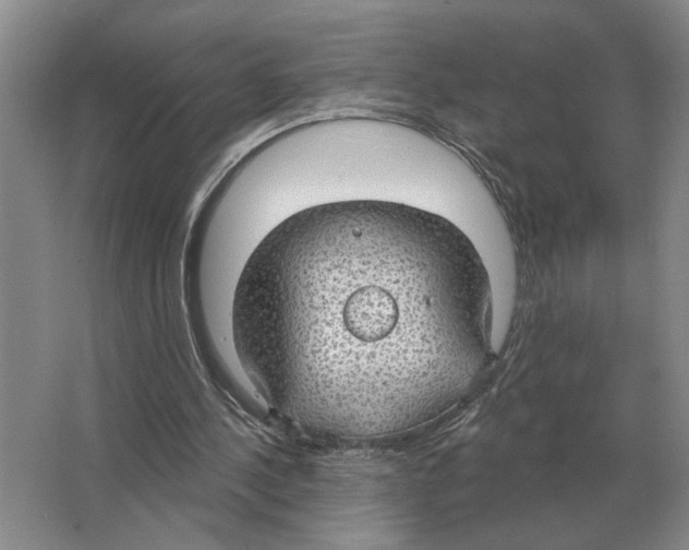 X0000063450244200602171906