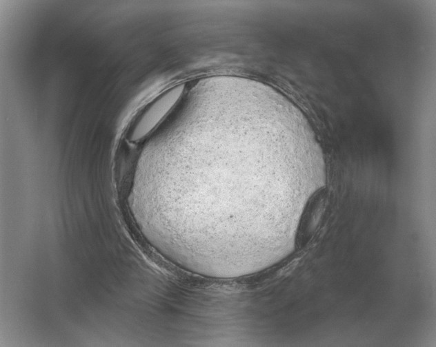 X0000063450245200602171906